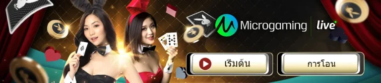 Microgaming_banner